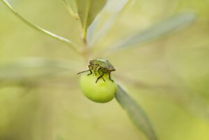 陰部の臭い対策に効果的なグッズは何ですか？