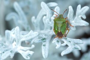 更年期における体臭の原因とは何か？