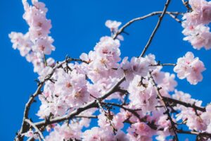 更年期の汗の匂いを改善するための生活習慣とは？