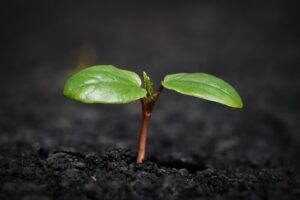 生理前に体臭が強くなる原因とその対処法は？