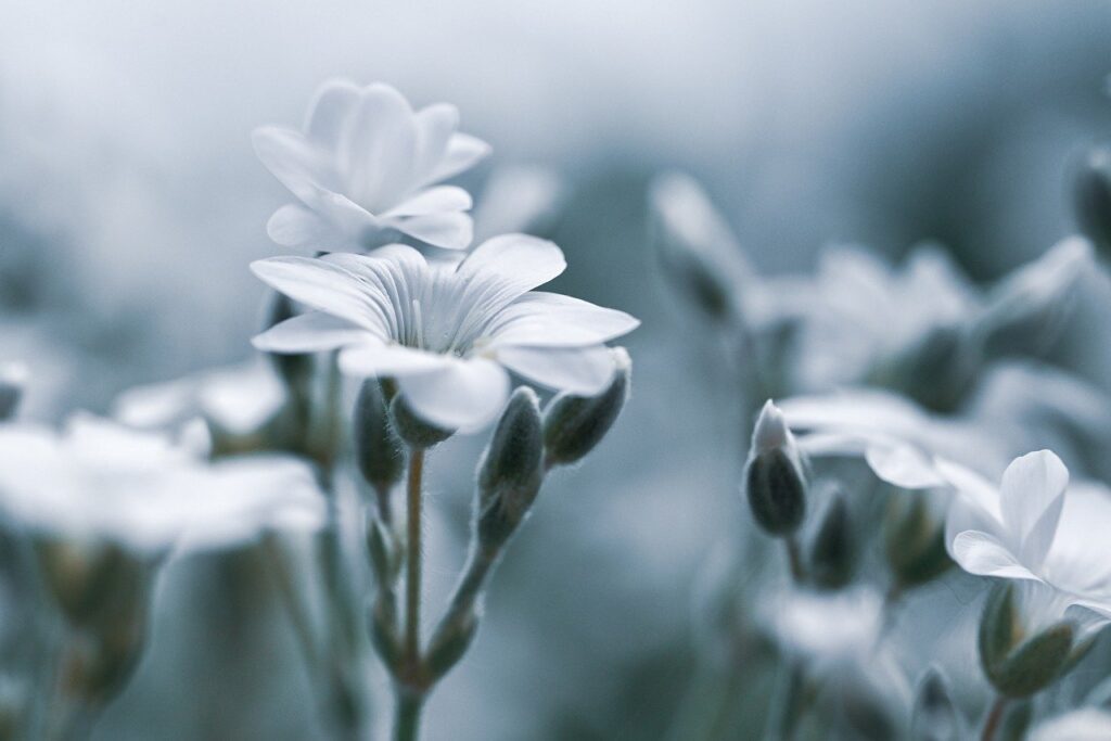 更年期による乱れをセルフチェックするためのデリケートゾーンケアは？