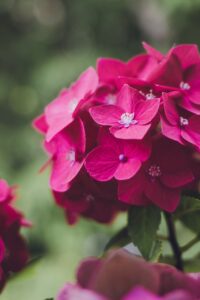 更年期のおりものが強くなる時の対策は？
