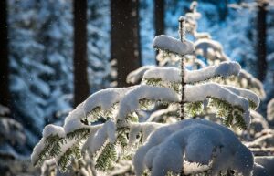 排卵期にデリケートゾーンが急に気になる原因は？