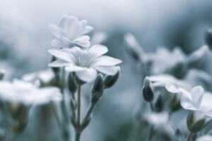 更年期の乱れによるデリケートゾーンの下着ケア方法は？