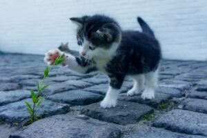 ニオイケアの選び方と注意点は何？
